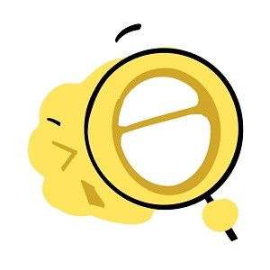 无风险9.1免费版观看官方版APP应用